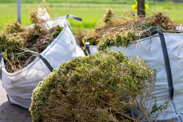 Best Moving and Downsizing Cleanouts  in Morristown, NJ